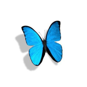 For God So Loved the World - scriptureforkids.com